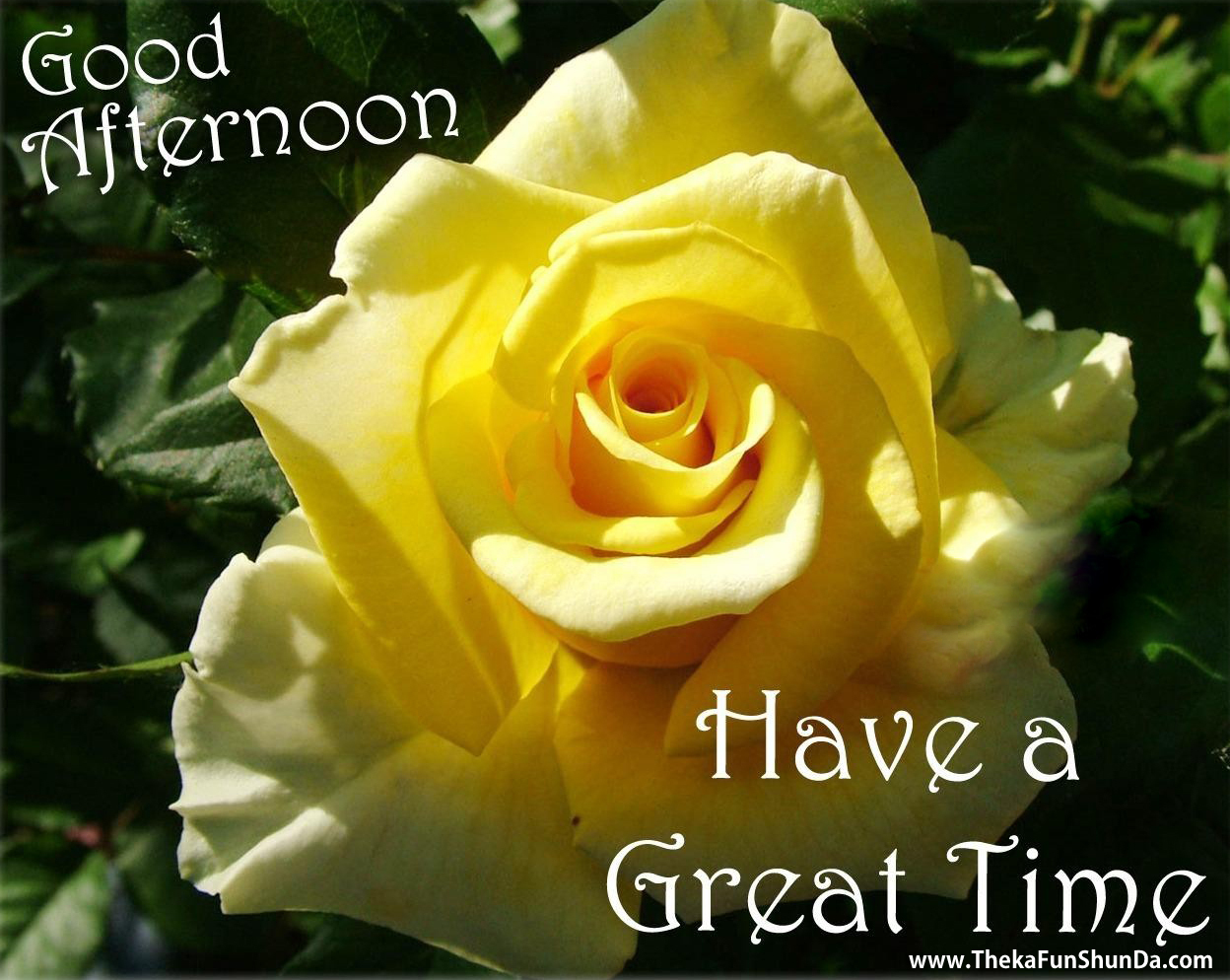 Good Afternoon