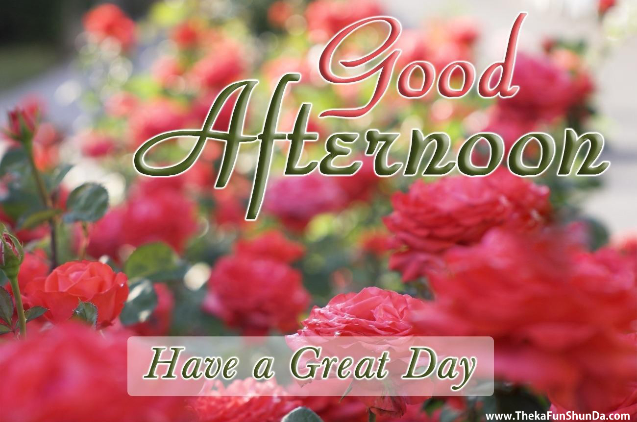 Good Afternoon