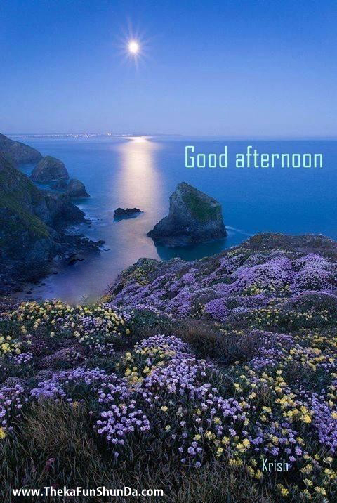 Good Afternoon