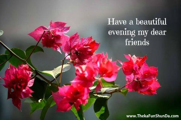Good Evening