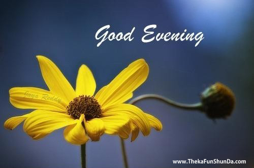 Good Evening