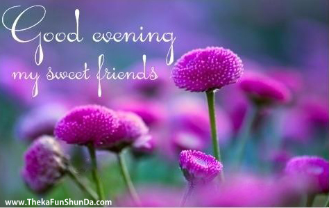Good Evening
