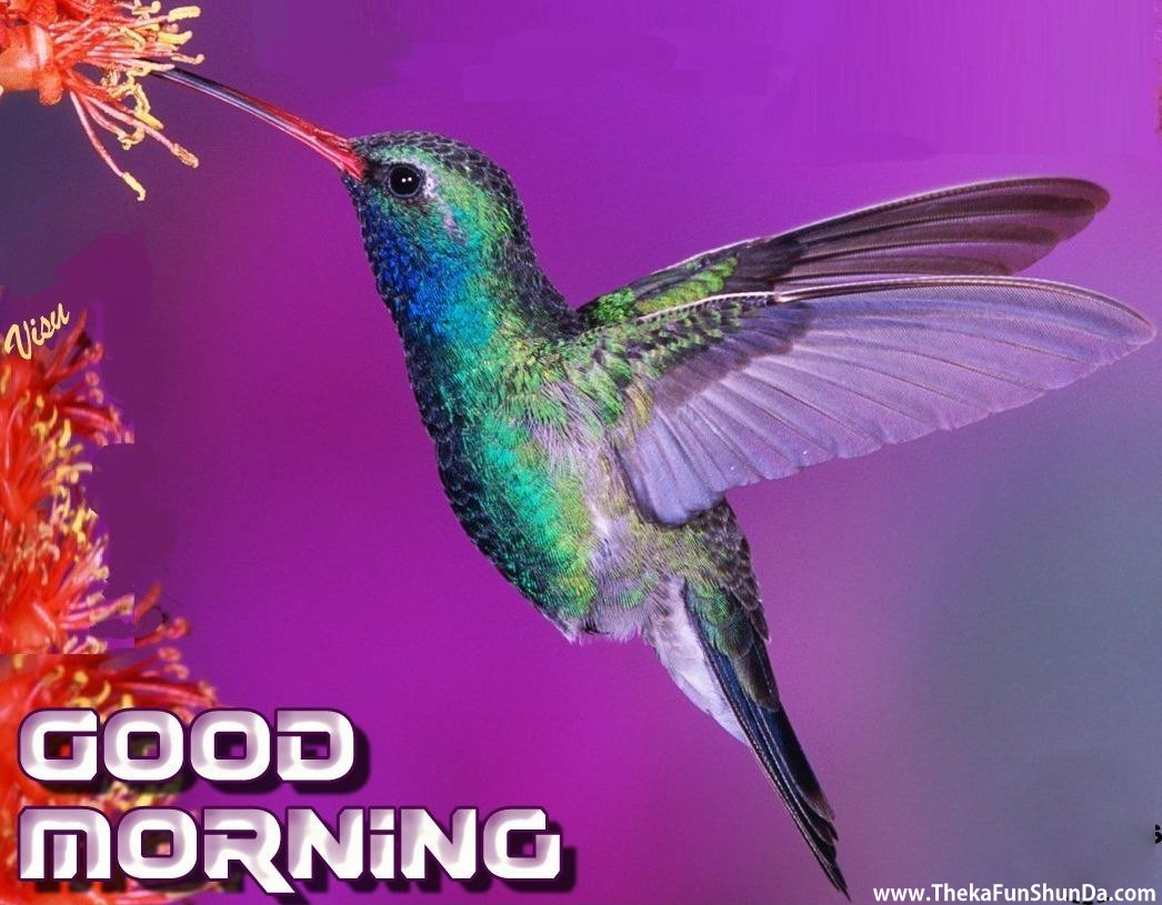 Good Morning