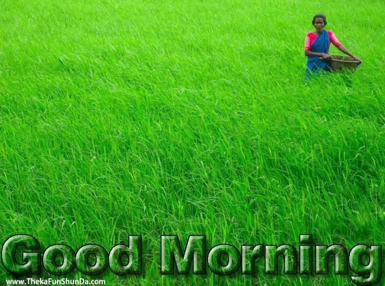 Good Morning