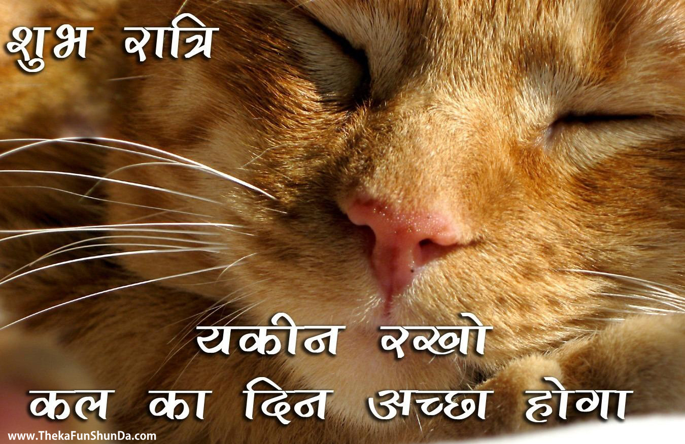 Good Night