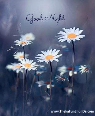 Good Night