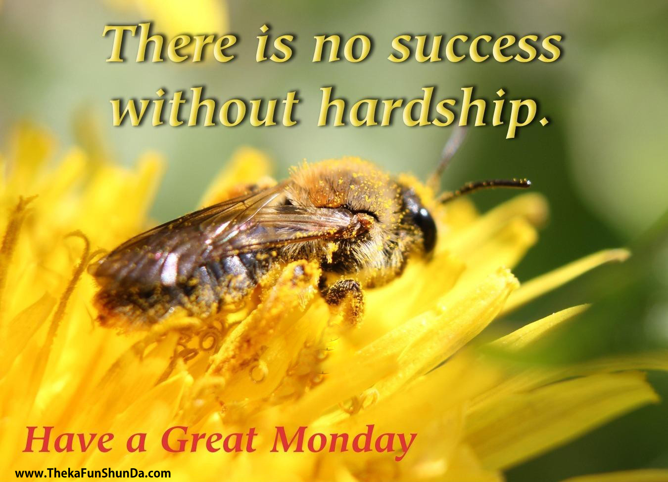 Monday
