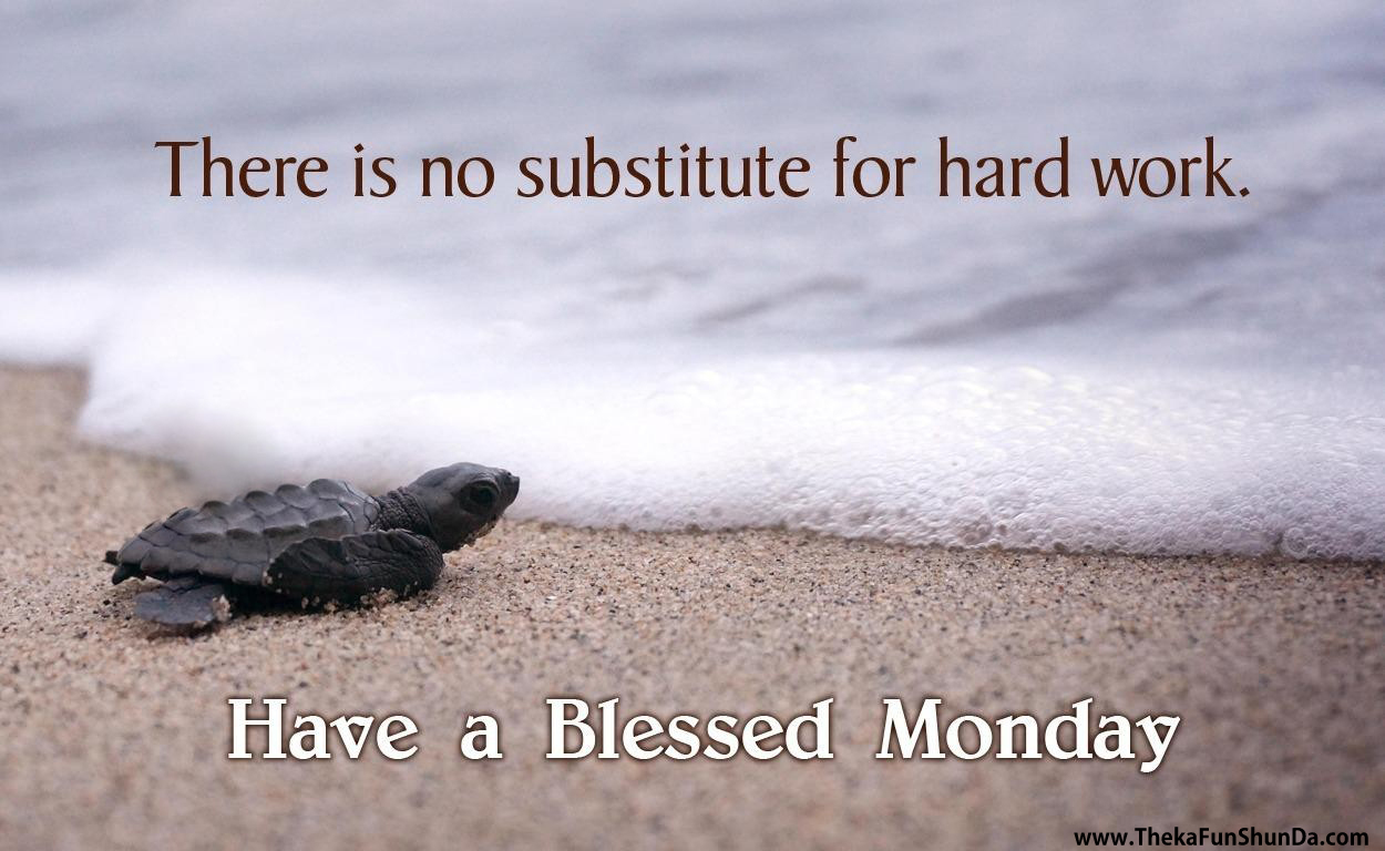 Monday
