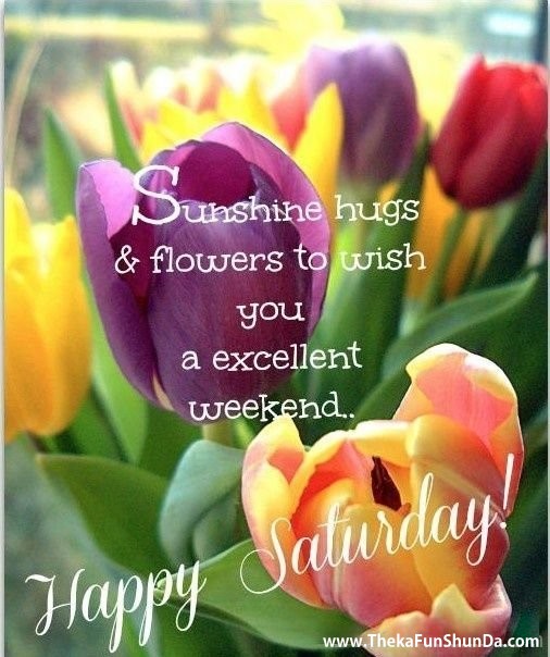 saturday