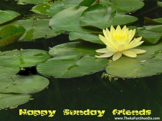 sunday