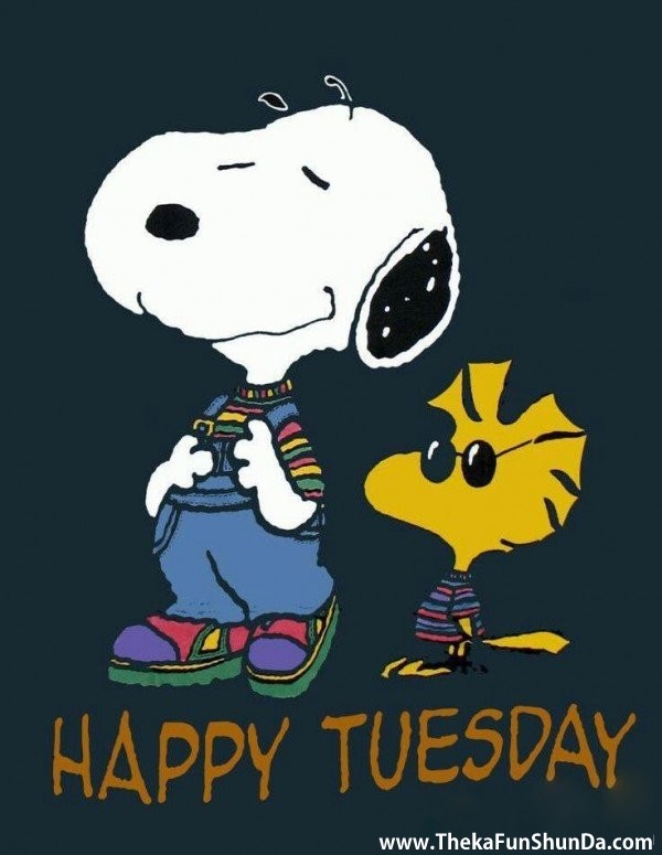 tuesday