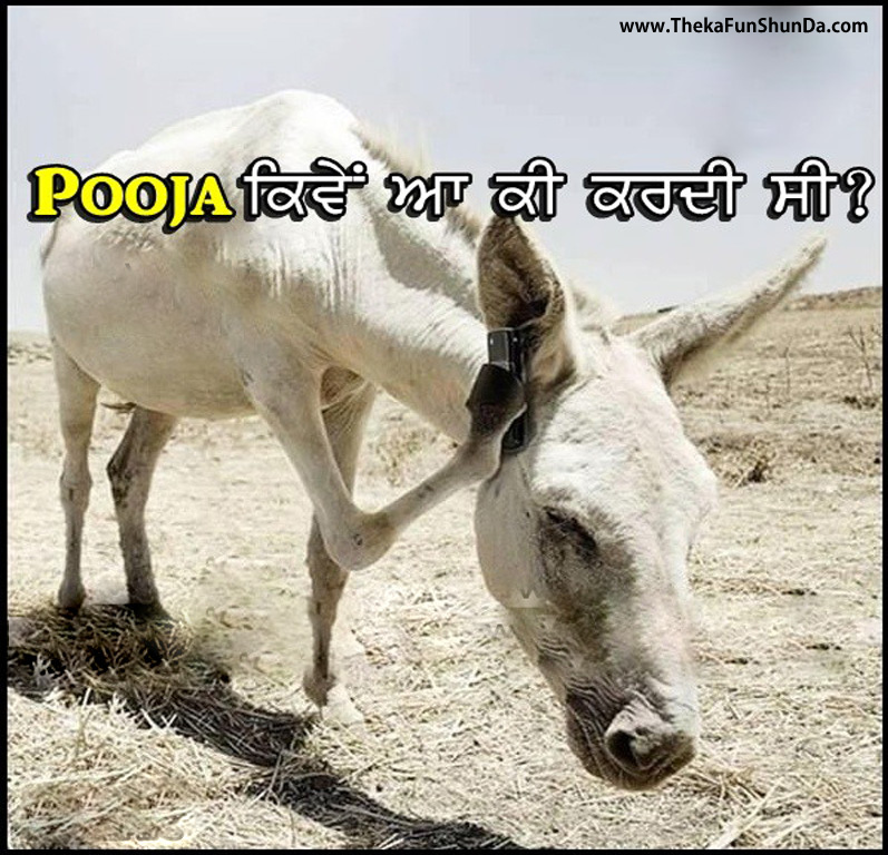 punjabi funny graphics
