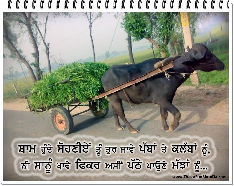 punjabi graphics