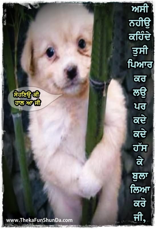 punjabi graphics