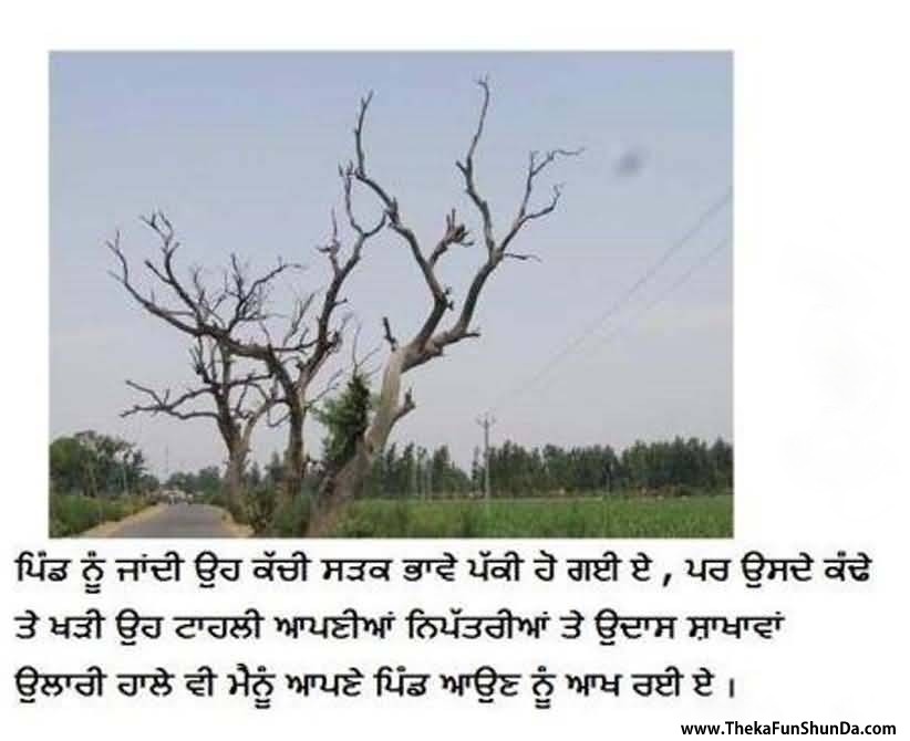 punjabi graphics