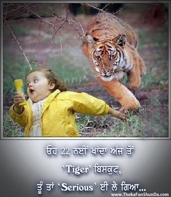 punjabi graphics