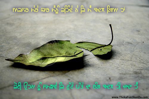 punjabi graphics