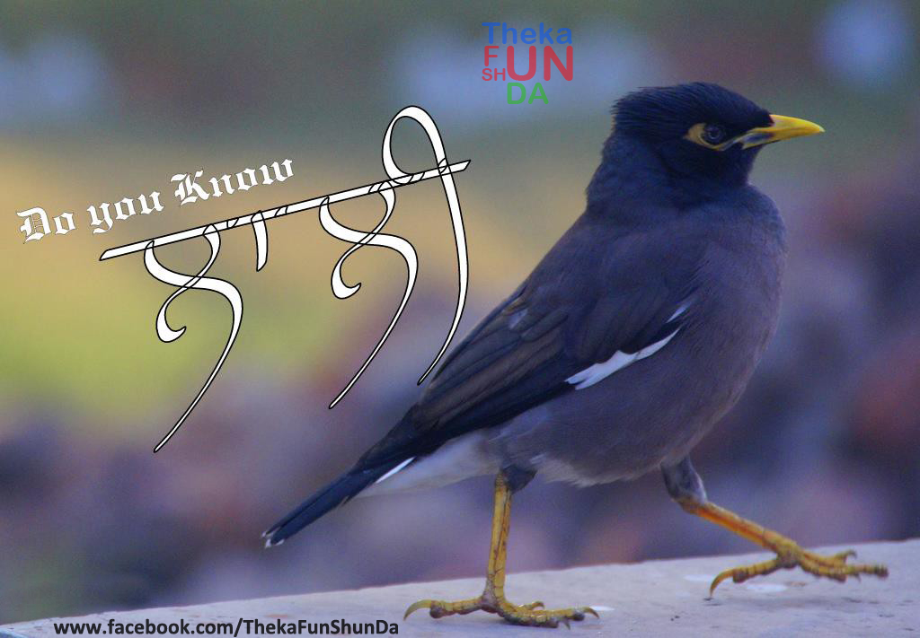 punjabi graphics