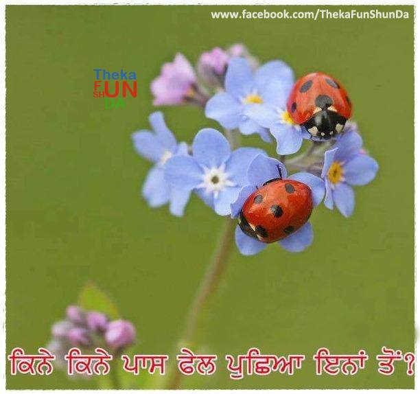 punjabi graphics