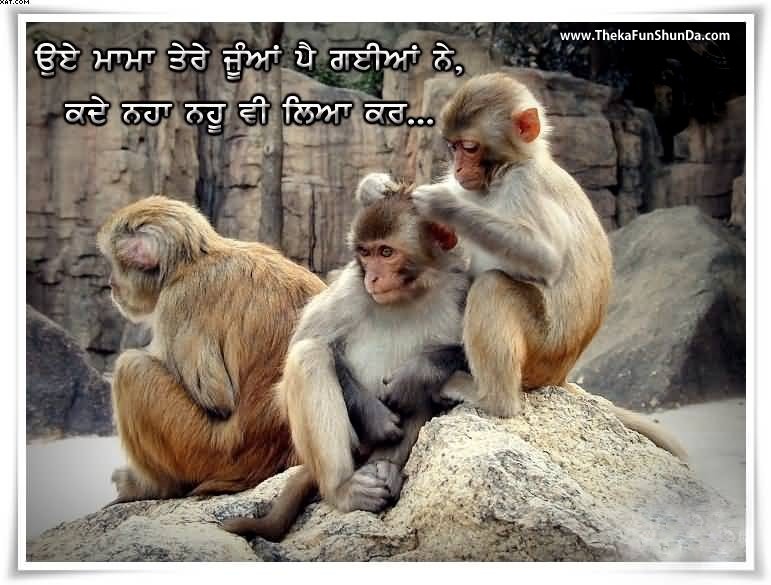 punjabi graphics