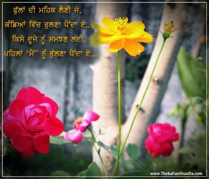 punjabi graphics