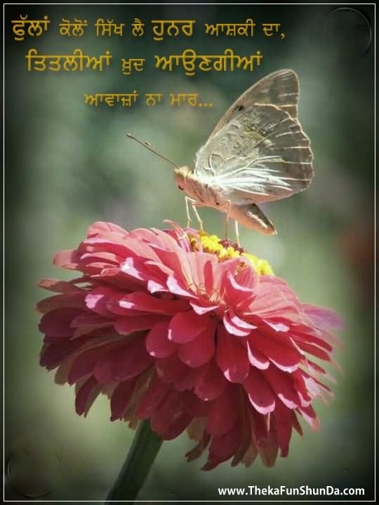 punjabi graphics