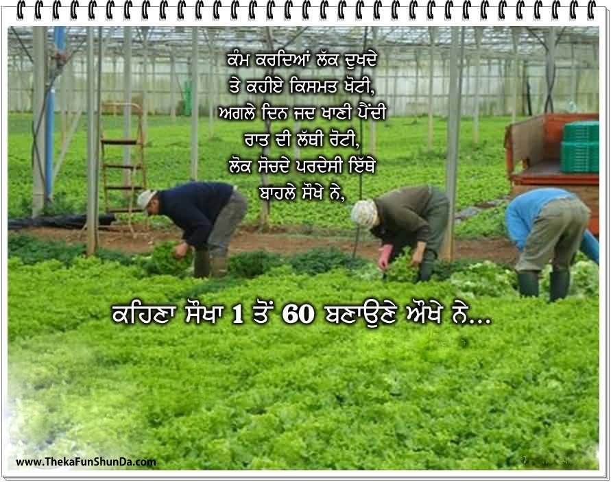 punjabi graphics