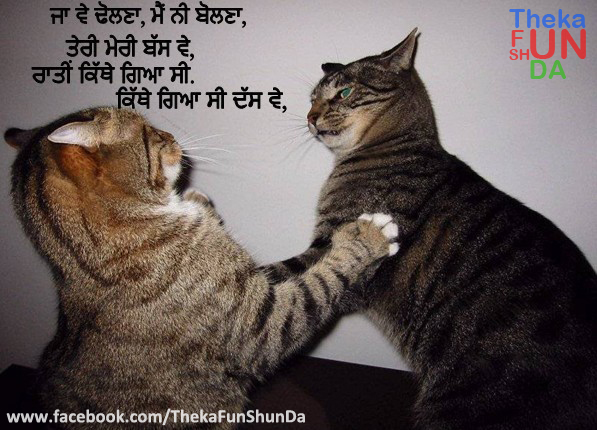 punjabi graphics