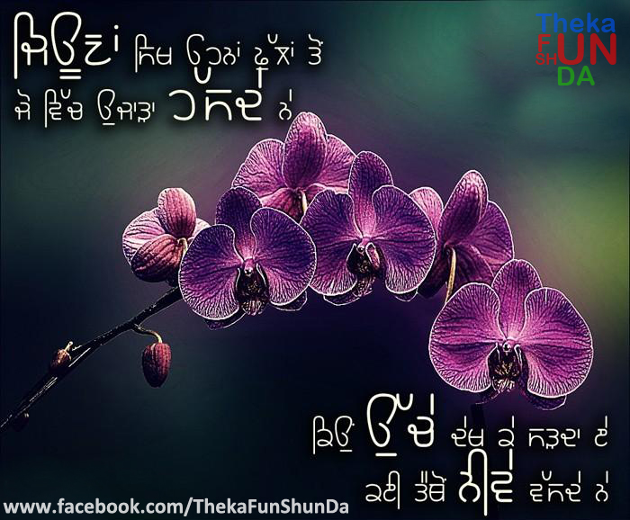 punjabi graphics