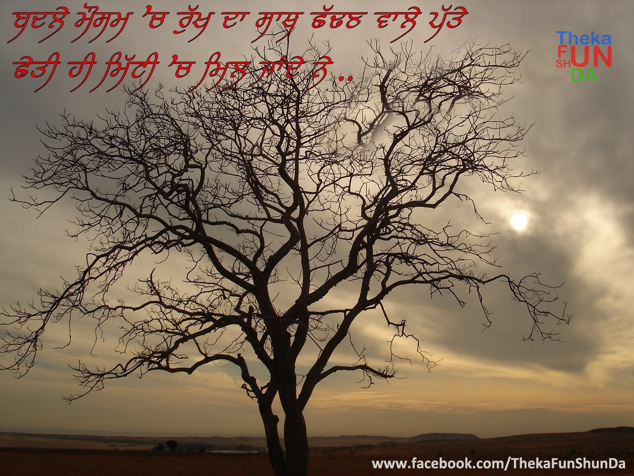 punjabi graphics