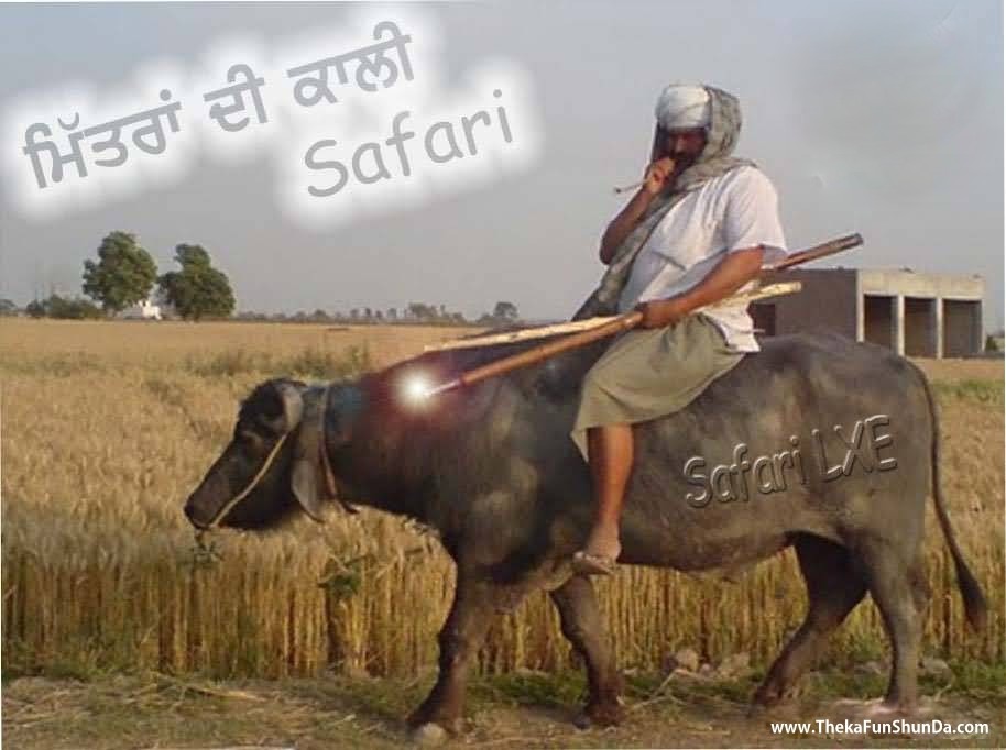 punjabi graphics