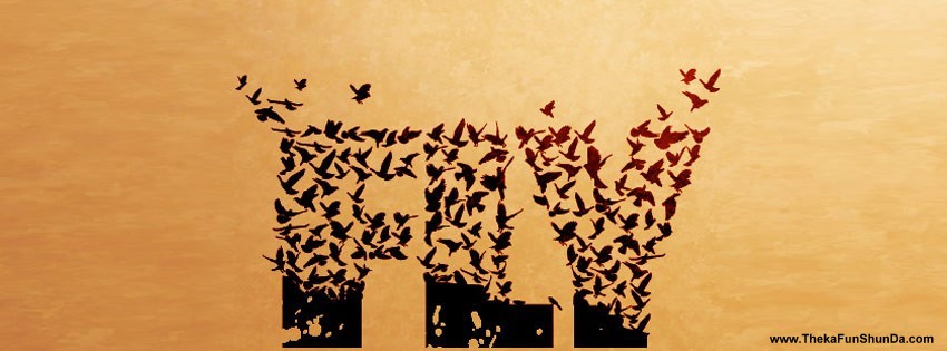 facebook cover photos