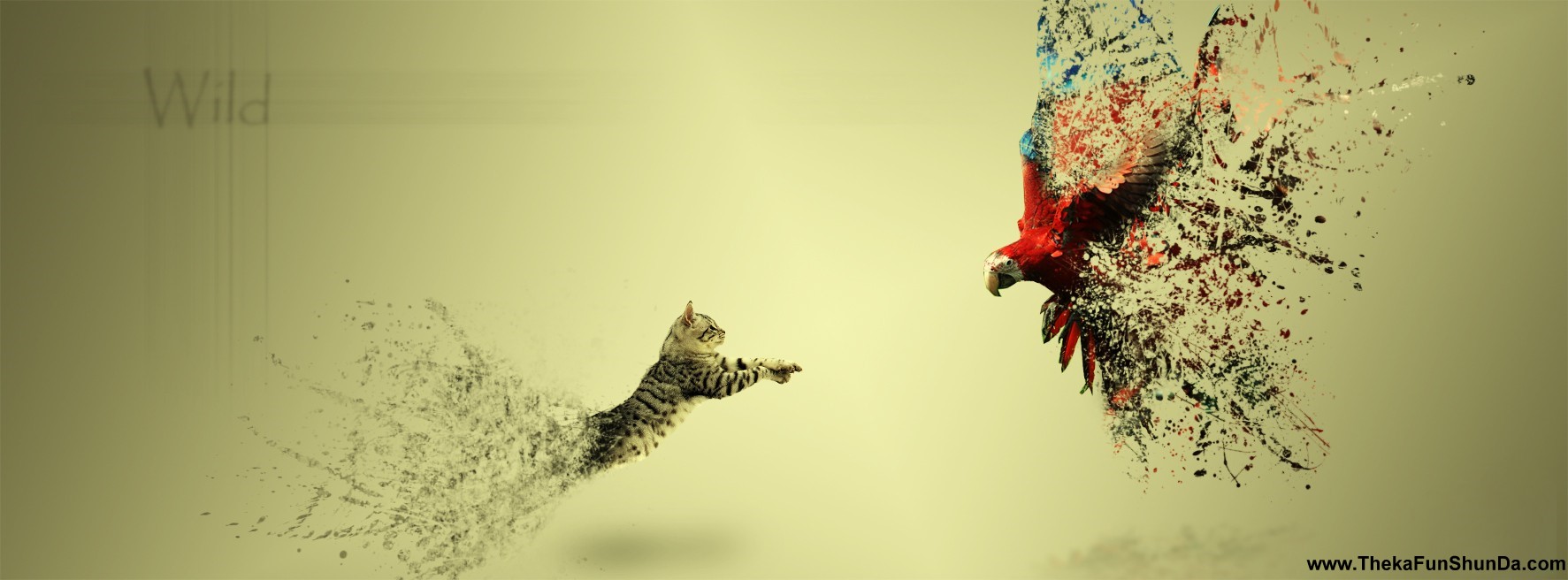 facebook cover photos