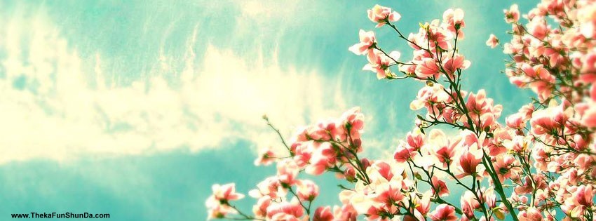 facebook cover photos