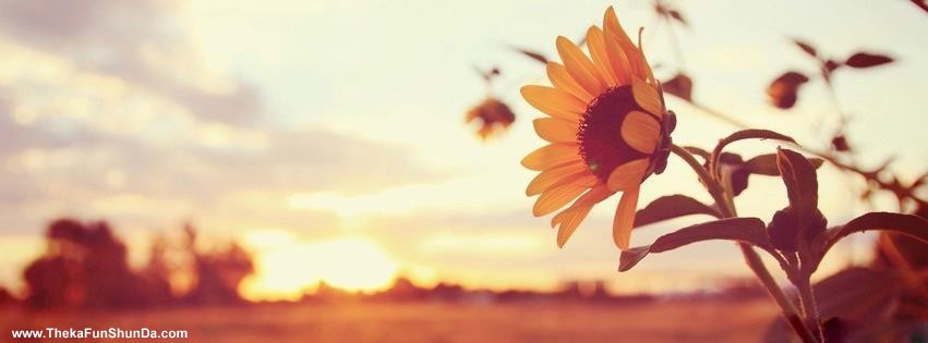 facebook cover photos