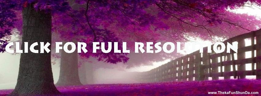facebook cover photos