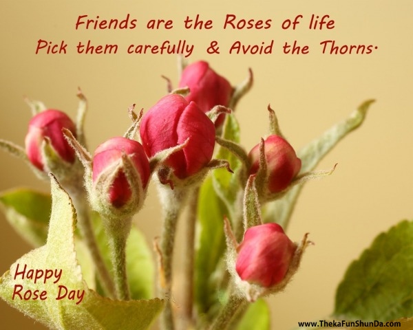 happy-rose-day
