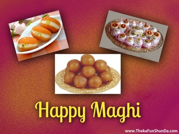 maghi
