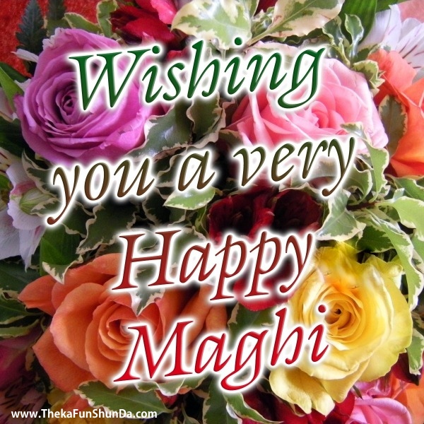maghi