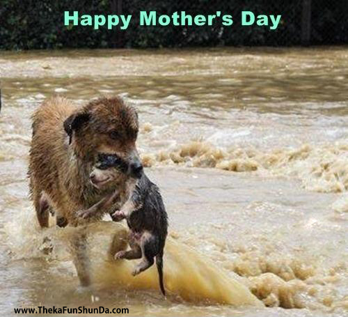 mothers-day