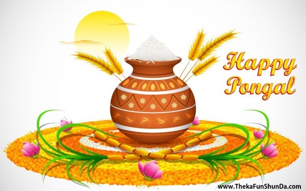 pongal