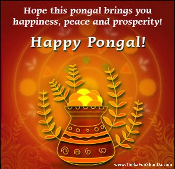 pongal