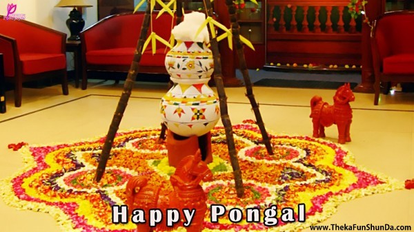 pongal