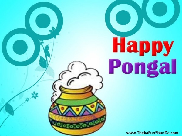 pongal