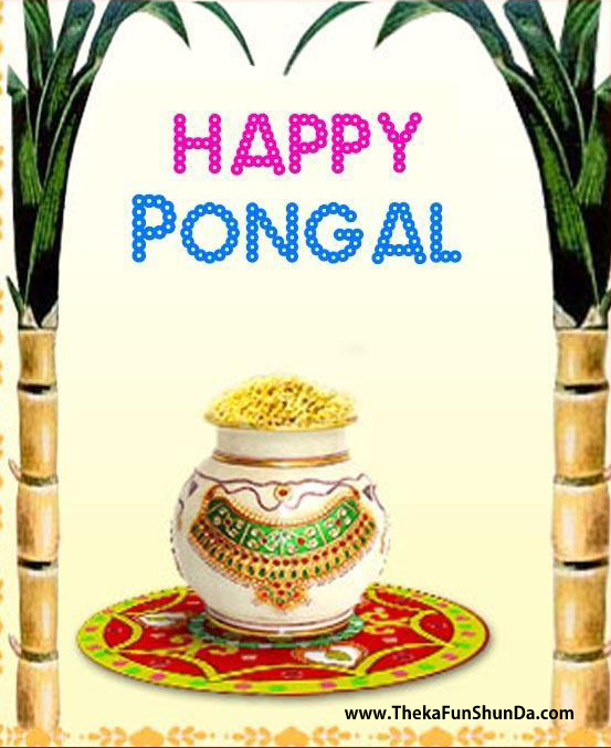 pongal