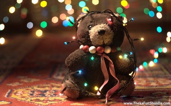 bear