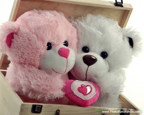 bear