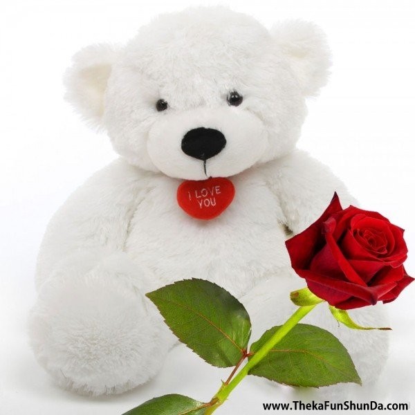 bear