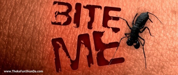 bite-me