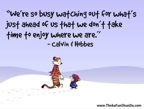 cartoons